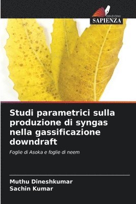 Studi parametrici sulla produzione di syngas nella gassificazione downdraft