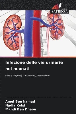 bokomslag Infezione delle vie urinarie nei neonati