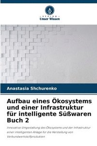 bokomslag Aufbau eines kosystems und einer Infrastruktur fr intelligente Swaren Buch 2