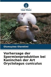 bokomslag Vorhersage der Spermienproduktion bei Kaninchen der Art Oryctolagus cuniculus