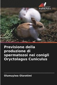 bokomslag Previsione della produzione di spermatozoi nei conigli Oryctolagus Cuniculus