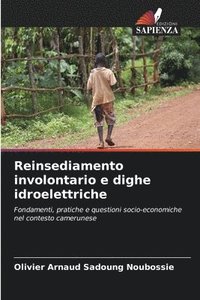 bokomslag Reinsediamento involontario e dighe idroelettriche