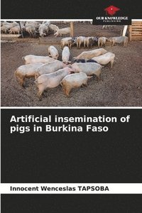 bokomslag Artificial insemination of pigs in Burkina Faso