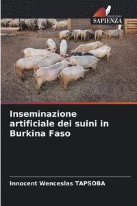 bokomslag Inseminazione artificiale dei suini in Burkina Faso