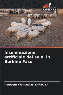 Inseminazione artificiale dei suini in Burkina Faso 1