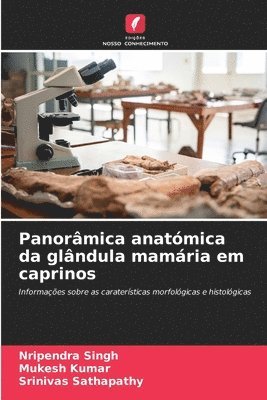 bokomslag Panormica anatmica da glndula mamria em caprinos