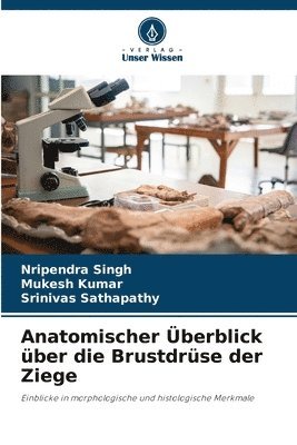 Anatomischer Überblick über die Brustdrüse der Ziege
