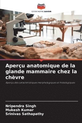 Nripendra Singh, Mukesh Kumar, Srinivas Sathapathy - Aperçu anatomique de la glande mammaire chez la chèvre, Häftad