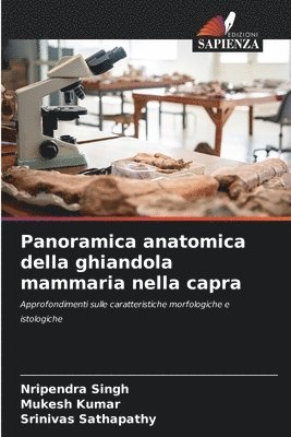 bokomslag Panoramica anatomica della ghiandola mammaria nella capra