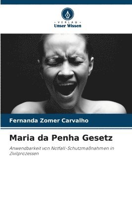 Maria da Penha Gesetz 1