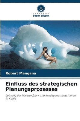 bokomslag Einfluss des strategischen Planungsprozesses