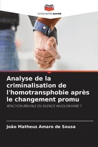 bokomslag Analyse de la criminalisation de l'homotransphobie aprs le changement promu