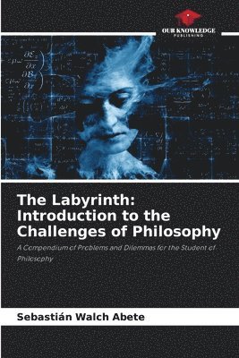 bokomslag Labyrinth