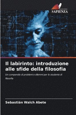 Il labirinto 1