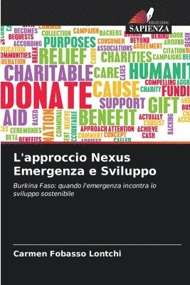 bokomslag L'approccio Nexus Emergenza e Sviluppo