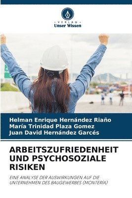 bokomslag Arbeitszufriedenheit Und Psychosoziale Risiken