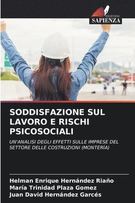 bokomslag Soddisfazione Sul Lavoro E Rischi Psicosociali