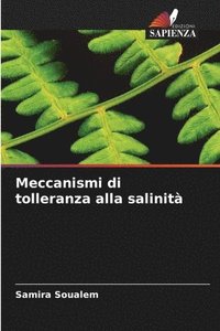 bokomslag Meccanismi di tolleranza alla salinit