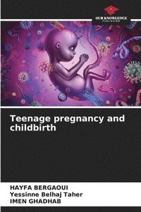 bokomslag Teenage pregnancy and childbirth