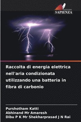 bokomslag Raccolta di energia elettrica nell'aria condizionata utilizzando una batteria in fibra di carbonio