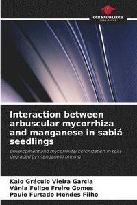 bokomslag Interaction between arbuscular mycorrhiza and manganese in sabiá seedlings