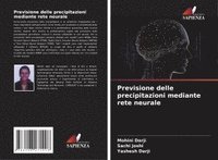 bokomslag Previsione delle precipitazioni mediante rete neurale