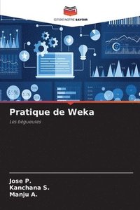 bokomslag Pratique de Weka