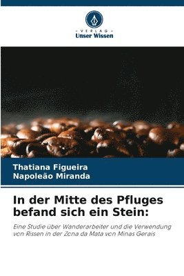 In der Mitte des Pfluges befand sich ein Stein