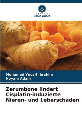 Mohamed Yousif Ibrahim, Hoyam Adam - Zerumbone lindert Cisplatin-induzierte Nieren- und Leberschäden, Häftad
