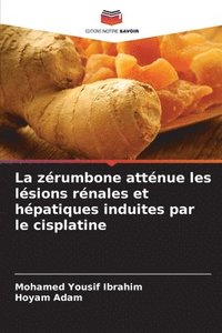 bokomslag La zérumbone atténue les lésions rénales et hépatiques induites par le cisplatine