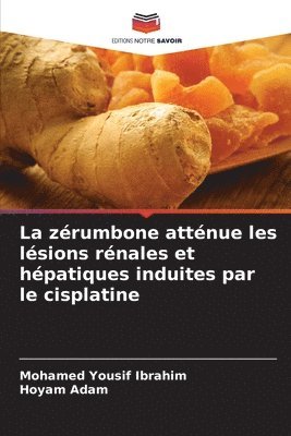 La zrumbone attnue les lsions rnales et hpatiques induites par le cisplatine 1