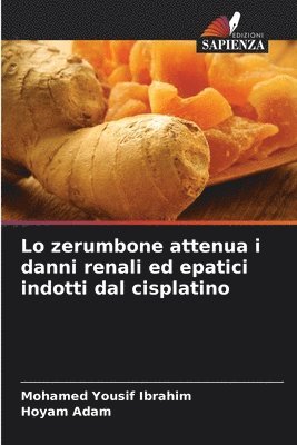 bokomslag Lo zerumbone attenua i danni renali ed epatici indotti dal cisplatino