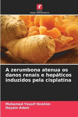 A zerumbona atenua os danos renais e hepticos induzidos pela cisplatina 1