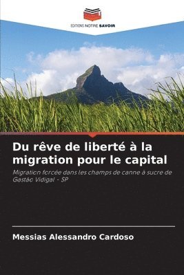 Du rve de libert  la migration pour le capital 1