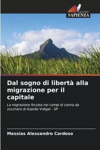 bokomslag Dal sogno di libert alla migrazione per il capitale