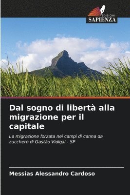 bokomslag Dal sogno di libertà alla migrazione per il capitale