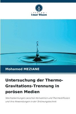 Mohamed Meziane - Untersuchung der Thermo-Gravitations-Trennung in porösen Medien, Häftad