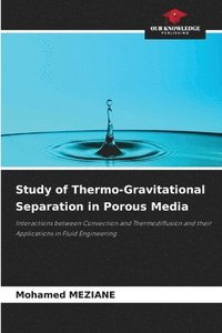 bokomslag Study of Thermo-Gravitational Separation in Porous Media