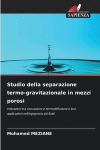 bokomslag Studio della separazione termo-gravitazionale in mezzi porosi