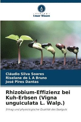 bokomslag Rhizobium-Effizienz bei Kuh-Erbsen (Vigna unguiculata L. Walp.)