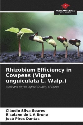 bokomslag Rhizobium Efficiency in Cowpeas (Vigna unguiculata L. Walp.)