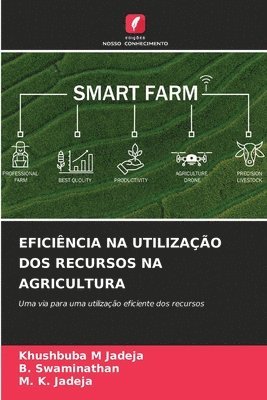 bokomslag Eficincia Na Utilizao DOS Recursos Na Agricultura