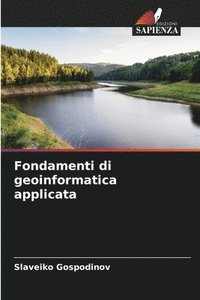 bokomslag Fondamenti di geoinformatica applicata