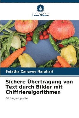 Sichere Übertragung von Text durch Bilder mit Chiffrieralgorithmen 1