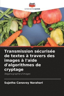 bokomslag Transmission scurise de textes  travers des images  l'aide d'algorithmes de cryptage