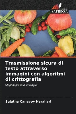 Trasmissione sicura di testo attraverso immagini con algoritmi di crittografia 1