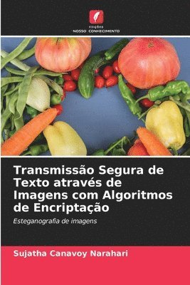 Sujatha Canavoy Narahari - Transmissão Segura de Texto através de Imagens com Algoritmos de Encriptação, Häftad
