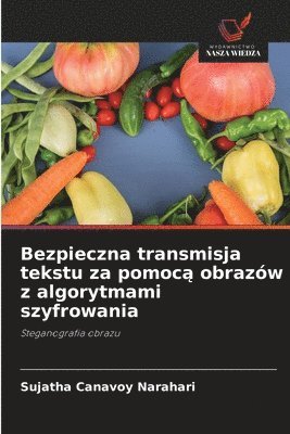 Sujatha Canavoy Narahari - Bezpieczna transmisja tekstu za pomocą obrazów z algorytmami szyfrowania, Häftad