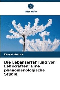 bokomslag Die Lebenserfahrung von Lehrkräften: Eine phänomenologische Studie