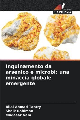 bokomslag Inquinamento da arsenico e microbi